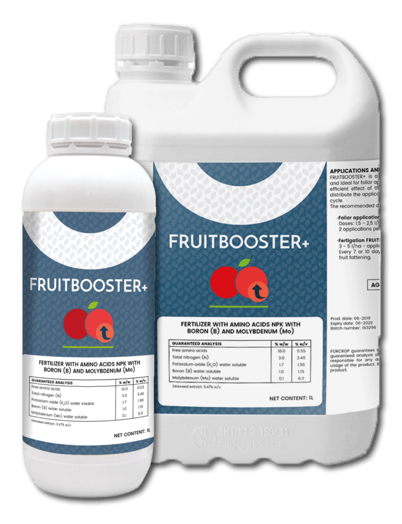 FRUITBOOSTER+