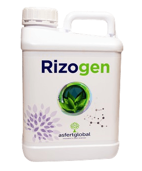 Rizogen